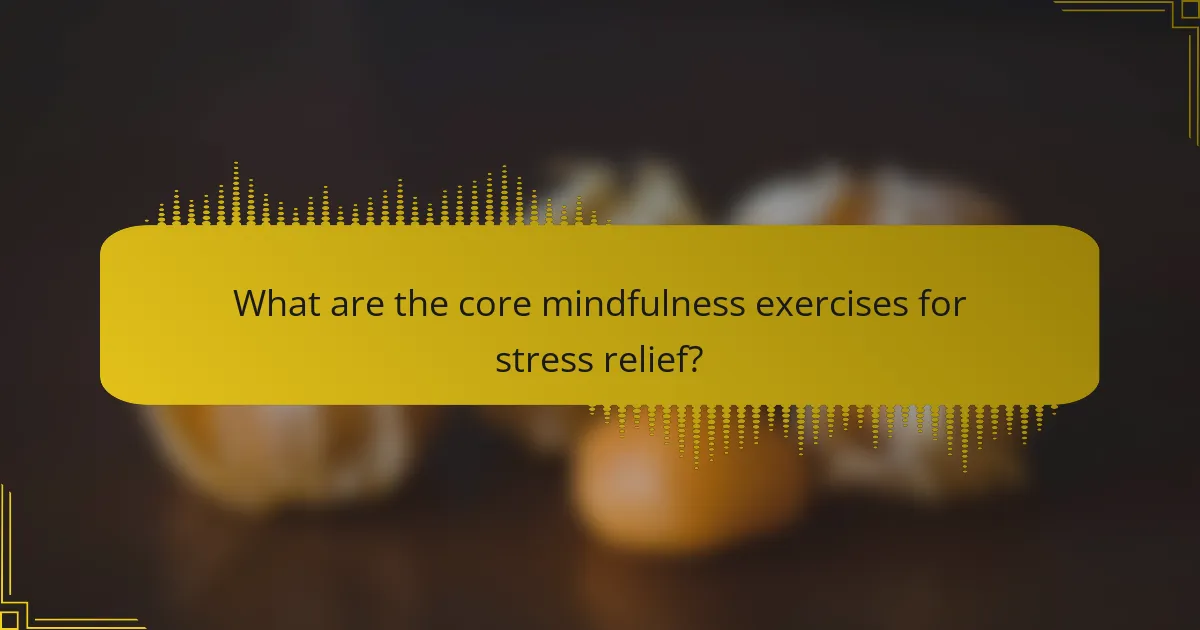 What are the core mindfulness exercises for stress relief?