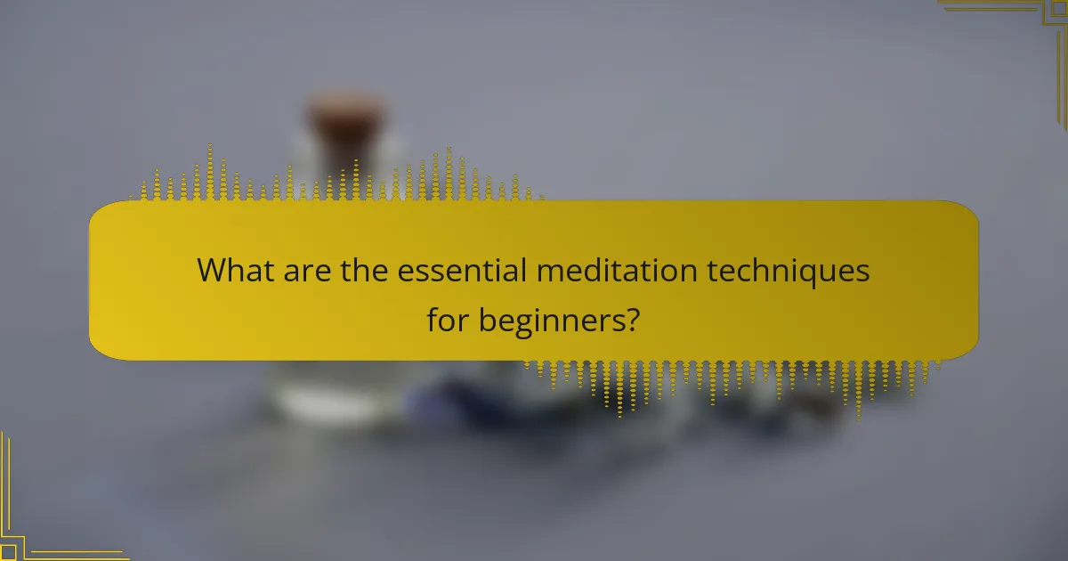 What are the essential meditation techniques for beginners?