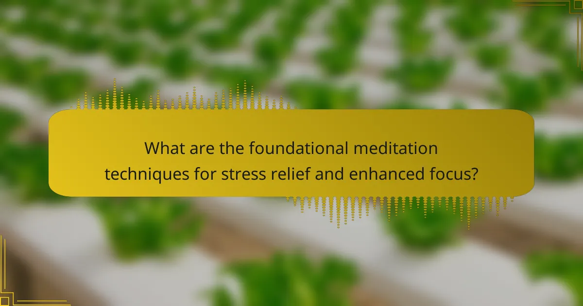 What are the foundational meditation techniques for stress relief and enhanced focus?