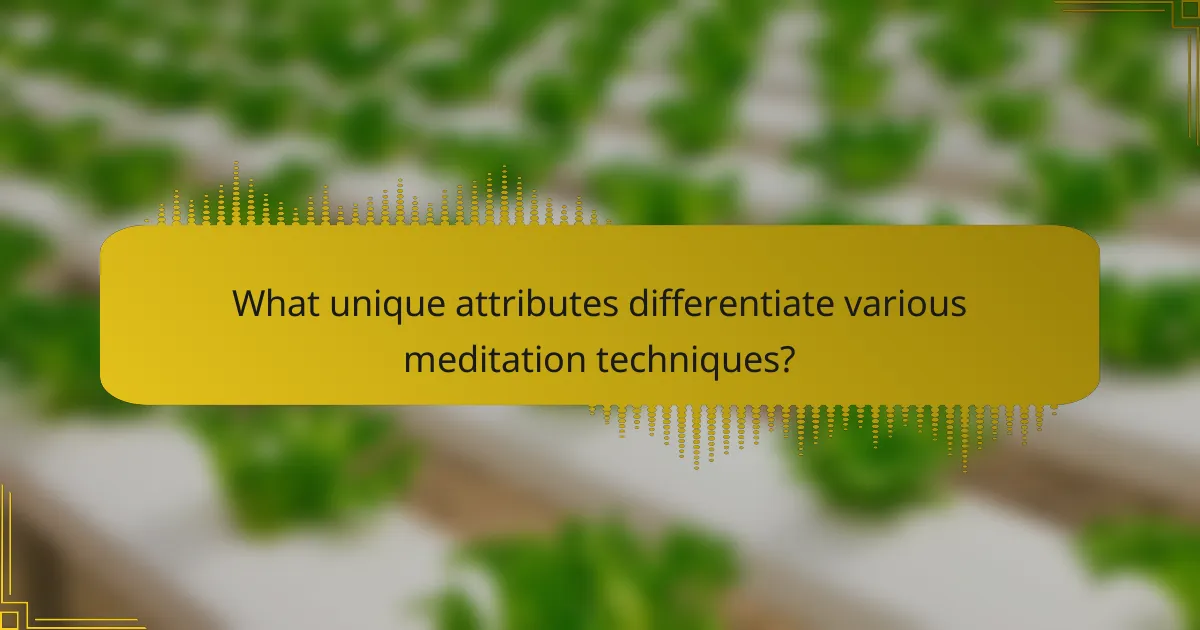 What unique attributes differentiate various meditation techniques?