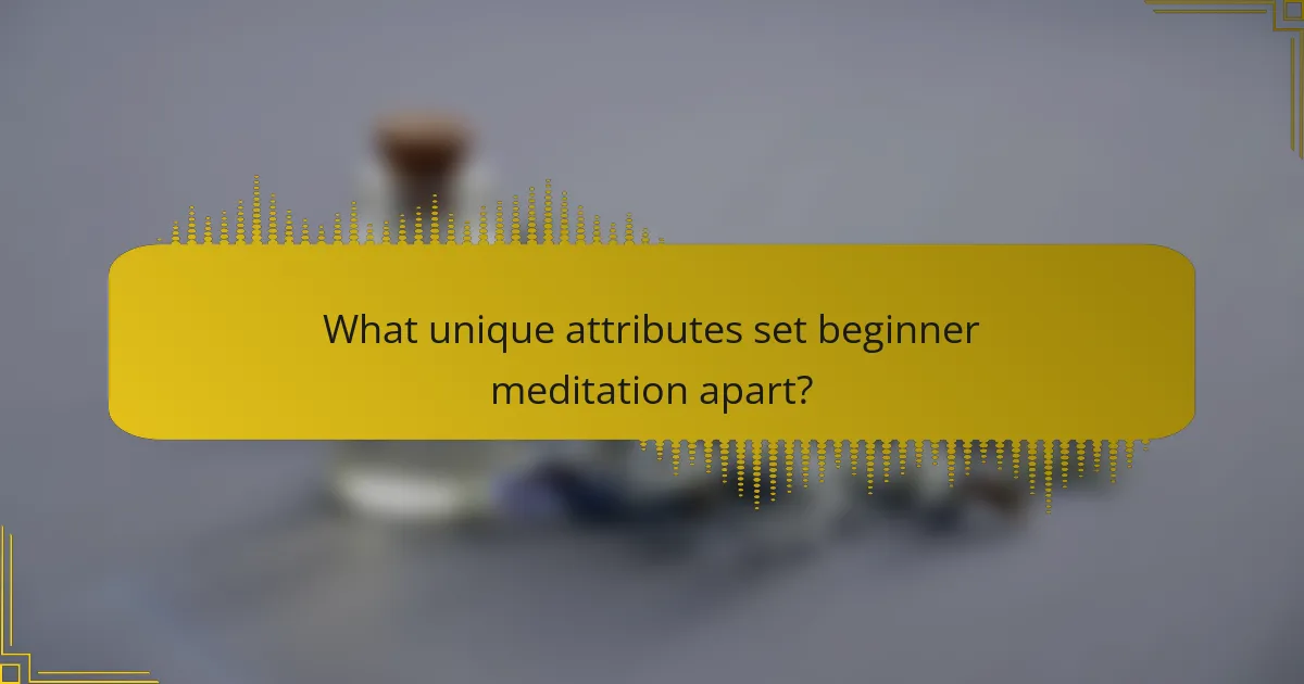 What unique attributes set beginner meditation apart?