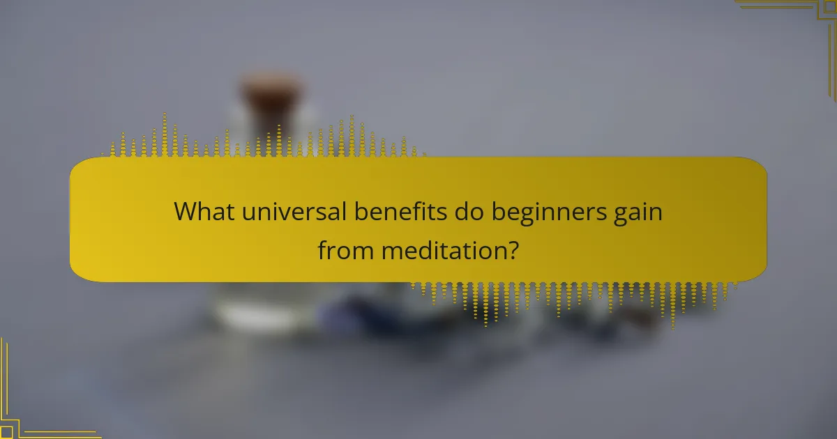 What universal benefits do beginners gain from meditation?